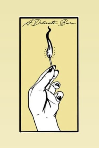 A Delicate Burn poster