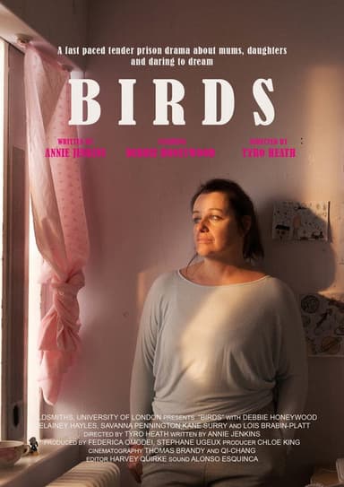 Birds poster