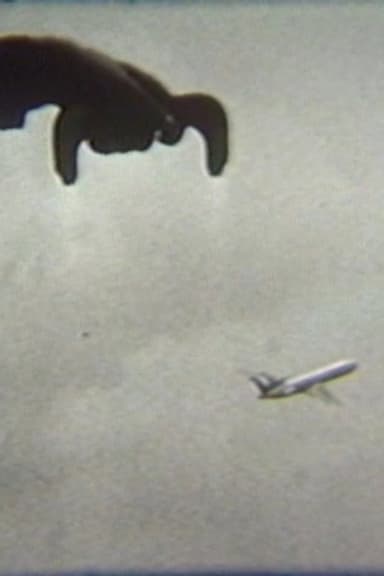 Flying poster