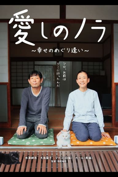 Itoshi no Nora poster