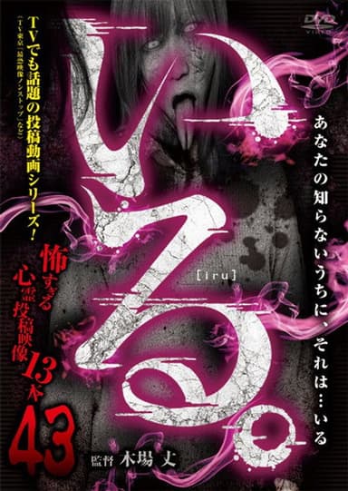 「Iru.」~ Kowasugiru Tōkō Eizō 13-hon ~ Vol.43 poster