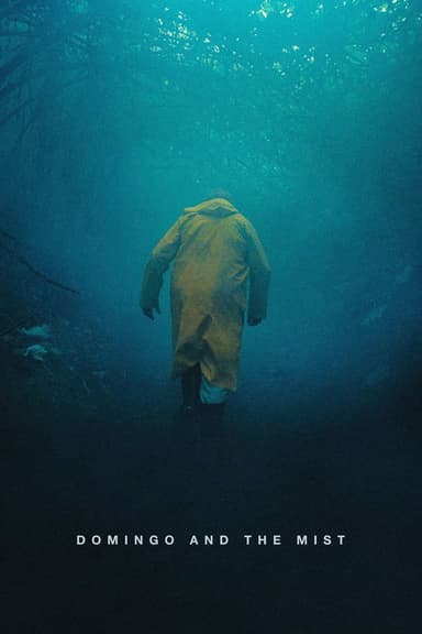 Domingo and the Mist poster