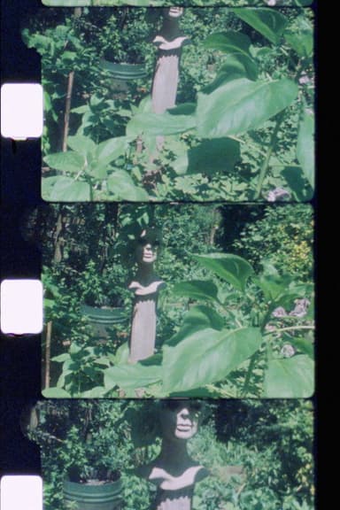 Silent Garden poster