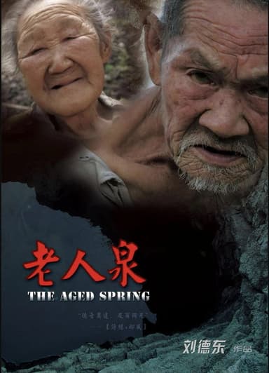 The Aged Spring poster