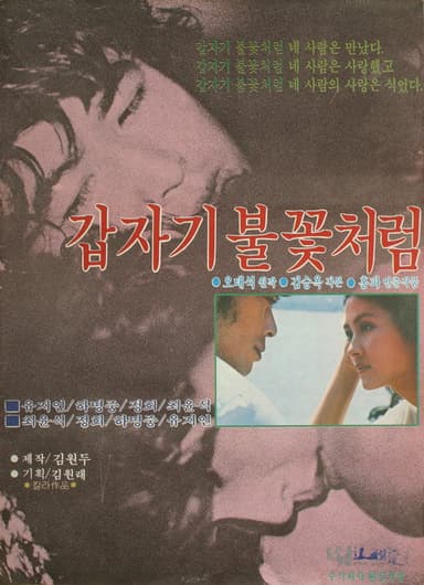 Sudden Flame poster