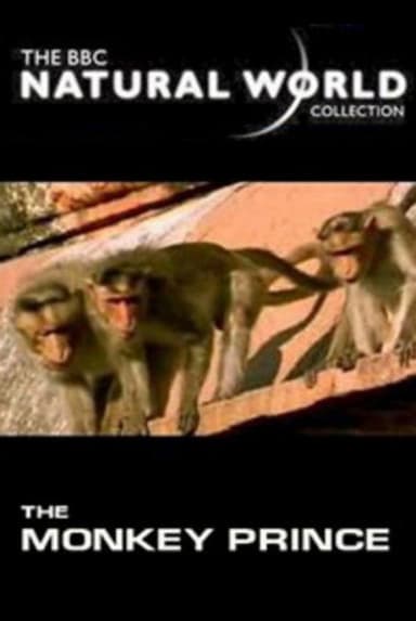 The Monkey Prince poster