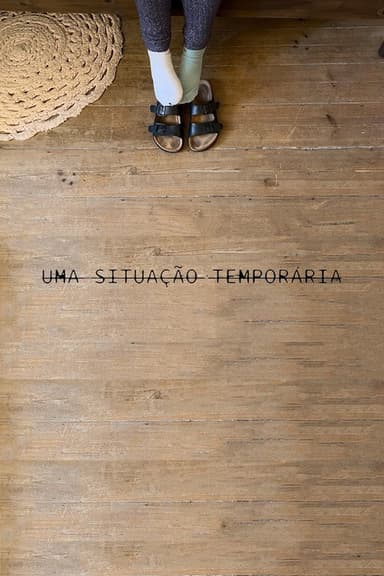 A Temporary Situation poster
