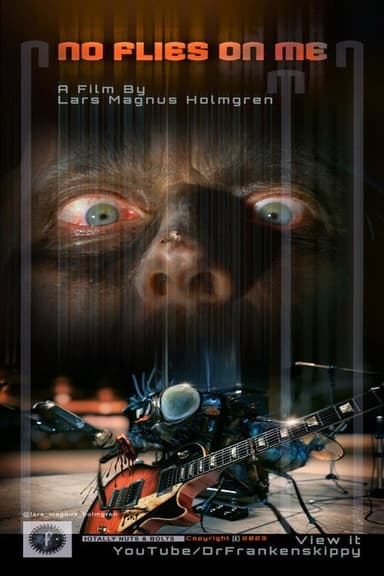 No Flies on Me poster