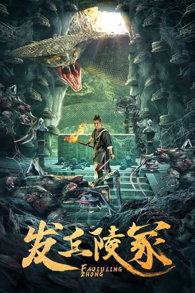 发丘陵冢 poster