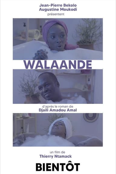 Walaandé poster
