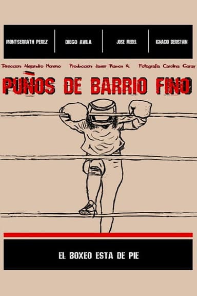 Puños de barrio fino poster