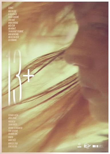 13+ poster