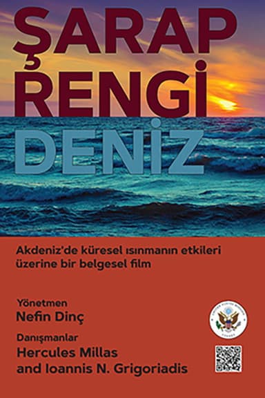 Wine Dark Sea poster