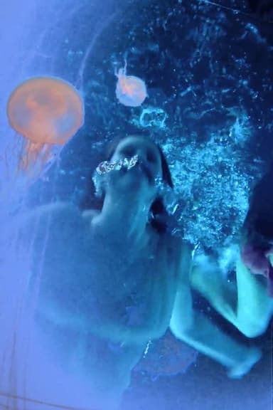 Stargazer poster