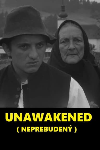 Unawakened poster