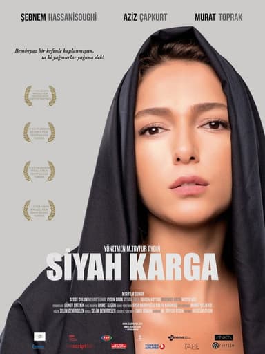 Black Crow poster