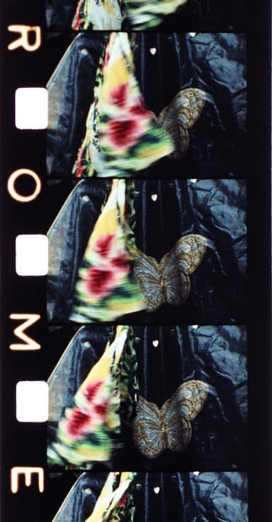 Malik poster