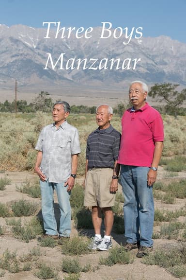 Three Boys Manzanar poster