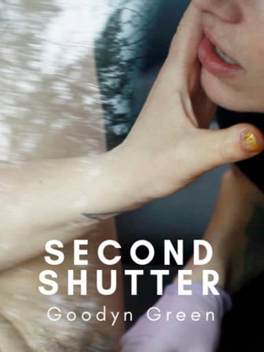 Second Shutter poster