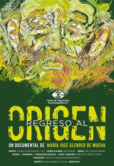 Back to the Origin poster
