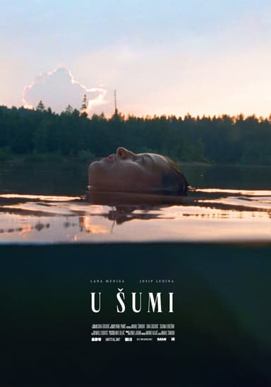 In the Woods poster