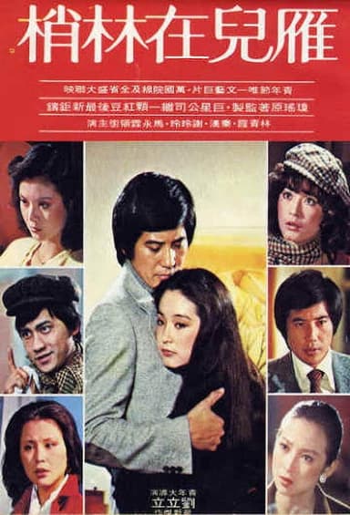The Wild Goose on the Wing poster