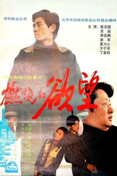 燃烧的欲望 poster
