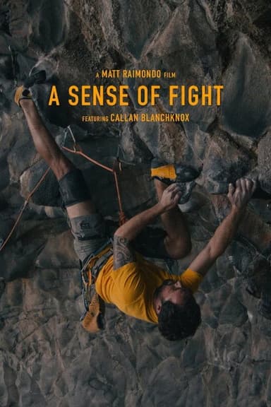 A Sense of Fight poster