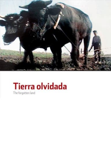 The Forgotten Land poster