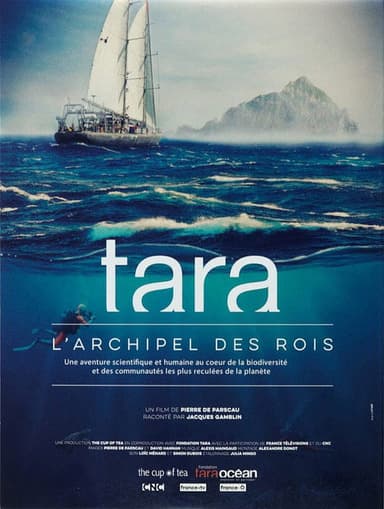 Tara, l’archipel des rois poster