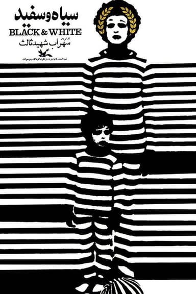 Black and White poster