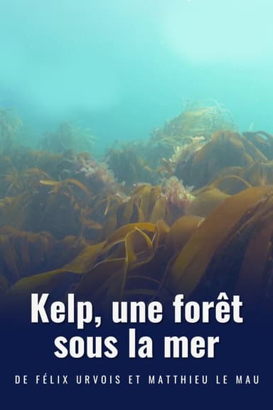 Kelp, une forêt sous la mer poster