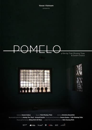 Pomelo poster