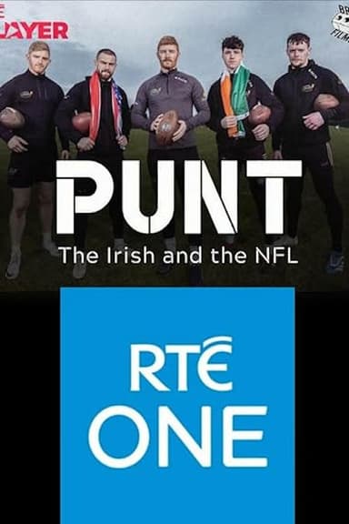 Punt: The Irish and The NFL poster