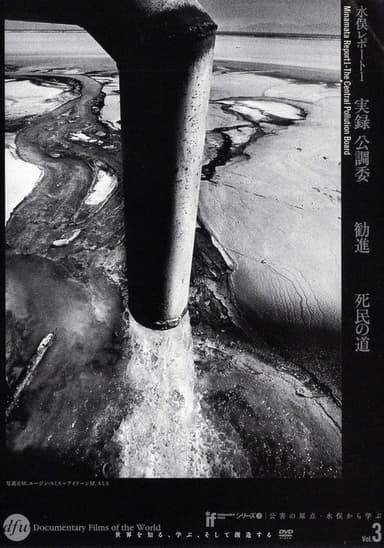 Minamata Report 1 - The Central Pollution Board poster