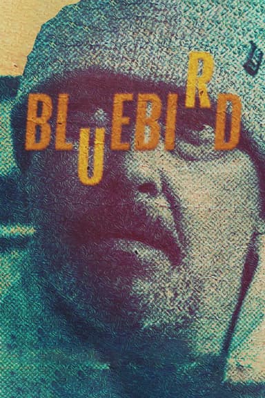 Bluebird poster