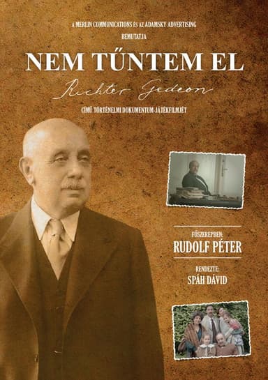Nem tűntem el - Richter Gedeon története poster