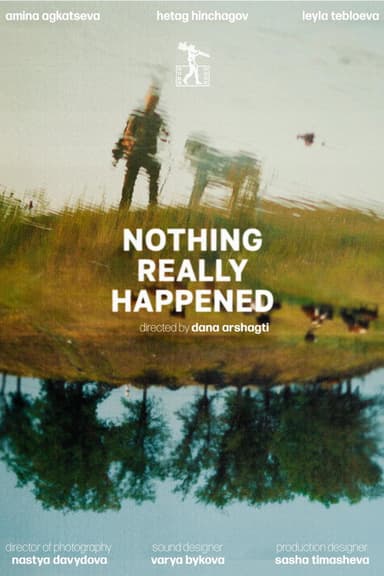 Nothing Really Happened poster