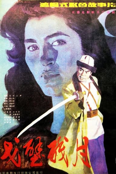 戈壁残月 poster