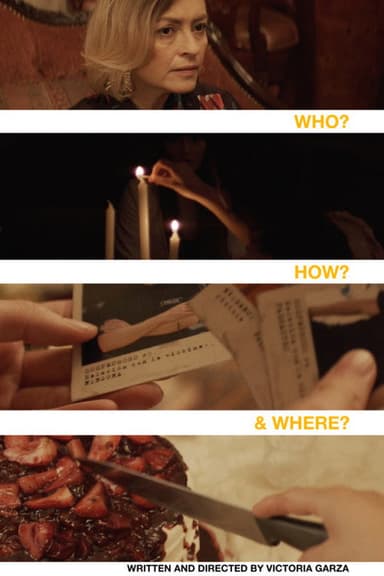 Who? How? And Where? poster