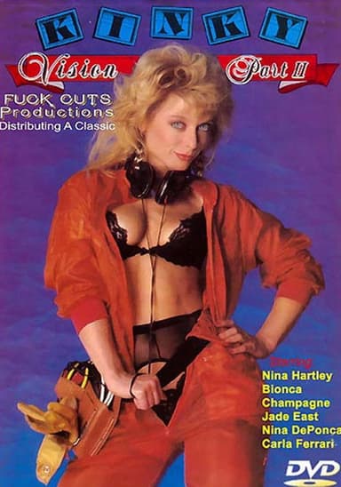 Kinky Vision 2 poster