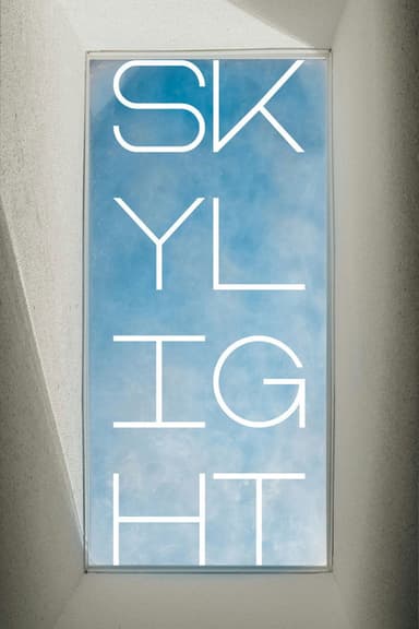 Skylight poster