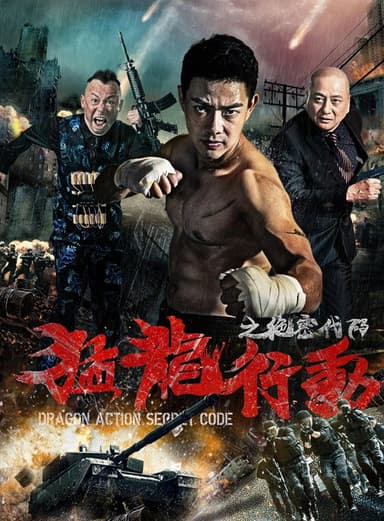 Dragon Action: Secret Code poster