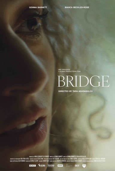Bridge poster