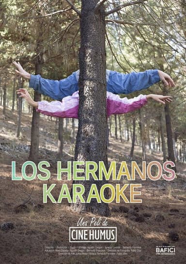 The karaoke brothers poster