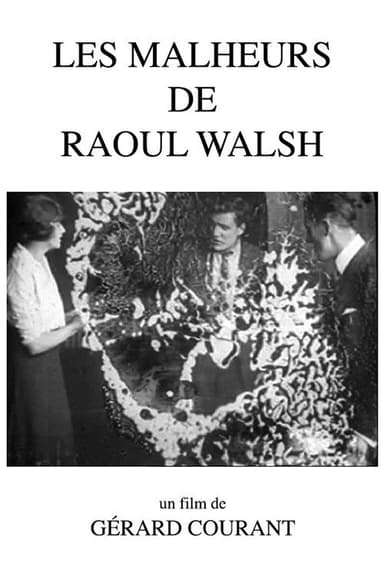 Les Malheurs de Raoul Walsh poster