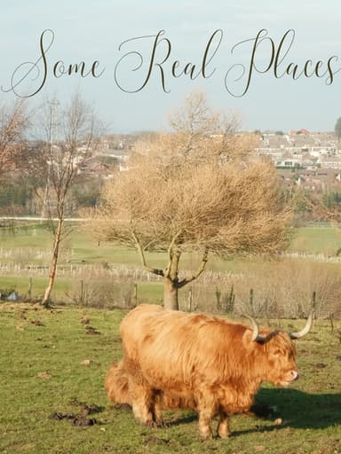 Some Real Places poster