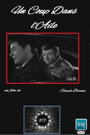 Un coup dans l'aile poster
