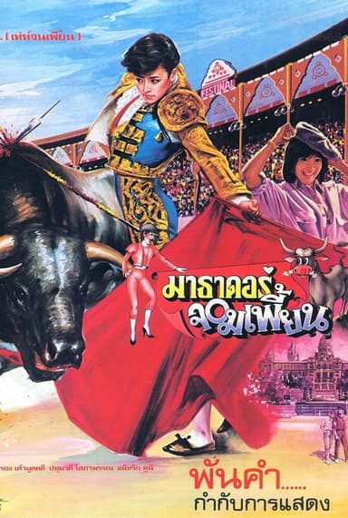 The Extraordinary Matador poster