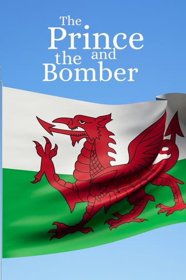 The Prince and the Bomber poster